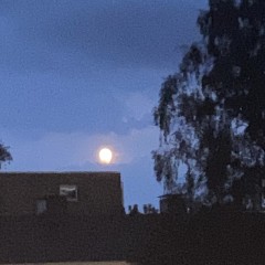 Moon2606